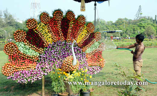 flower sho in kadri
